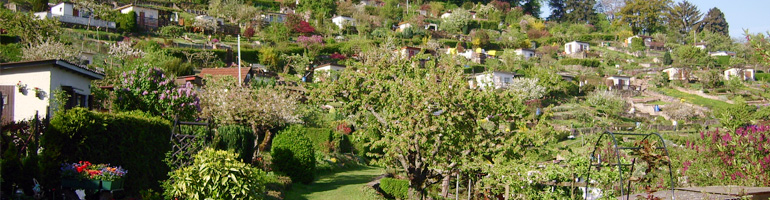 Raichberg Kleingartenanlage und Gaststätte