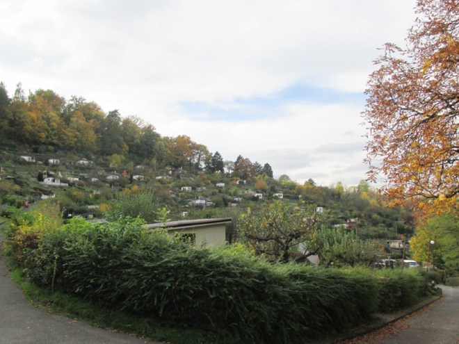 Raichberg im Herbst II