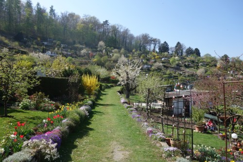 tor zur Gartenanlage