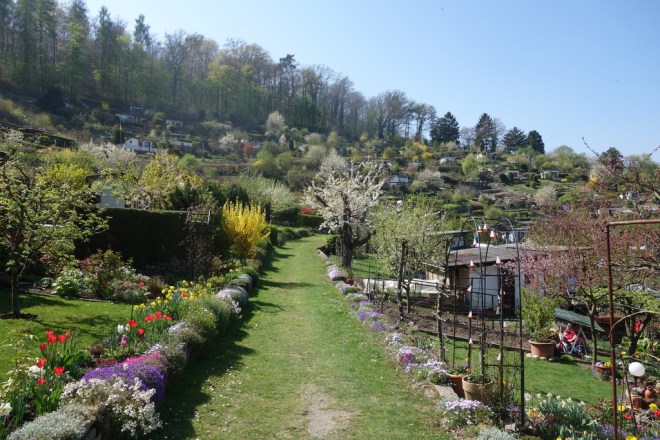 tor zur Gartenanlage