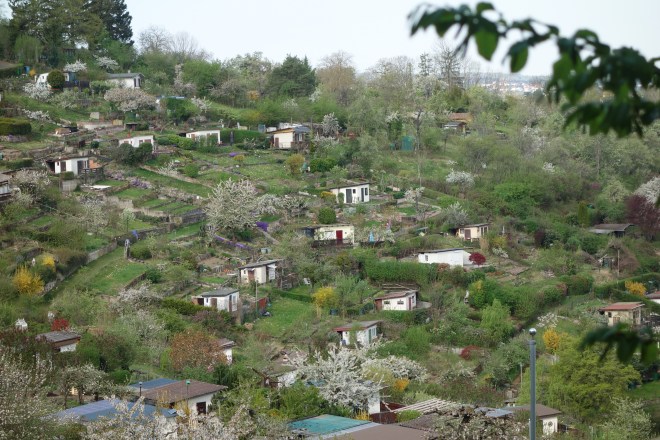 teil der Gartenanlage