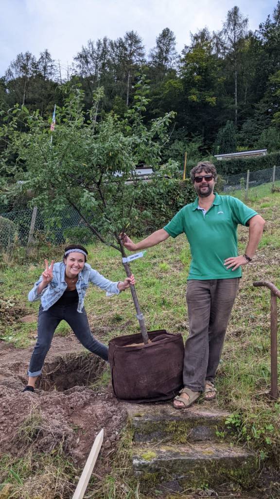 Schlehe vor ihrem Pflanzloch