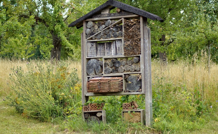 Bau ein eigenes Insektenhotel für Wildbienen und weitere&nbsp;Insekten!