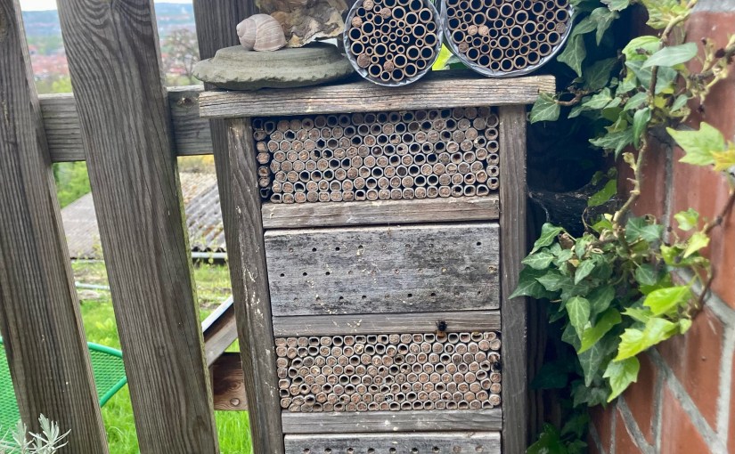 Nisthilfen aus Blechdosen