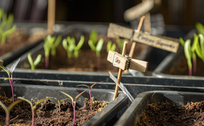 Gartenarbeiten im Frühjahr
