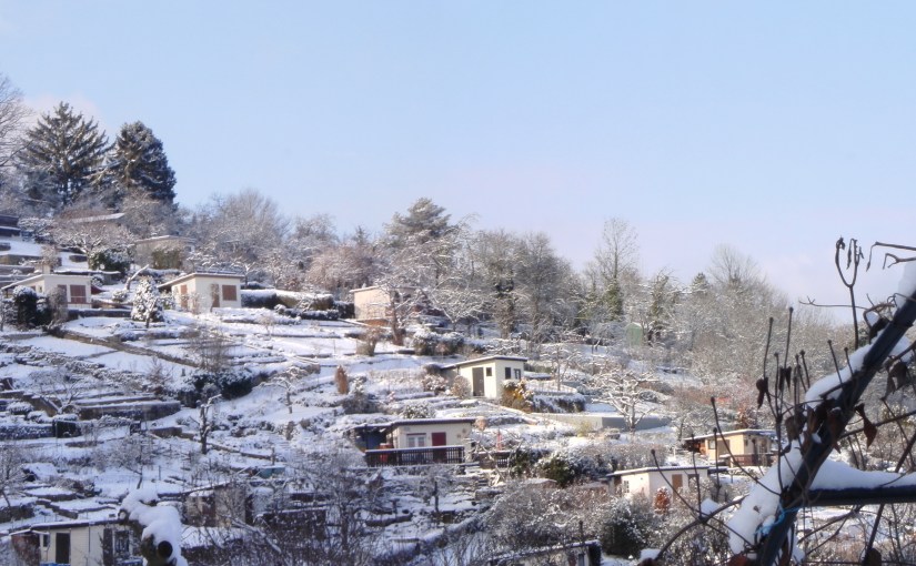 Ohne Winter wäre der Frühling nur halb so&nbsp;schön.